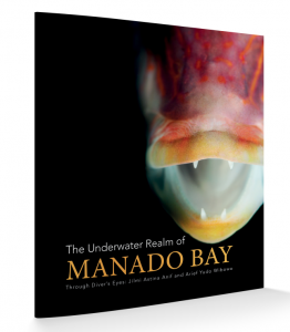 Manado Bay Cover (Medium)