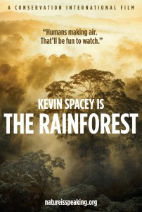 The Rainforest movie poster