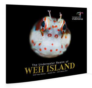 Weh Island (Medium)