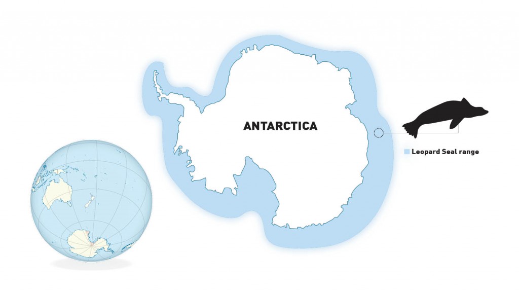 Antartic (1)