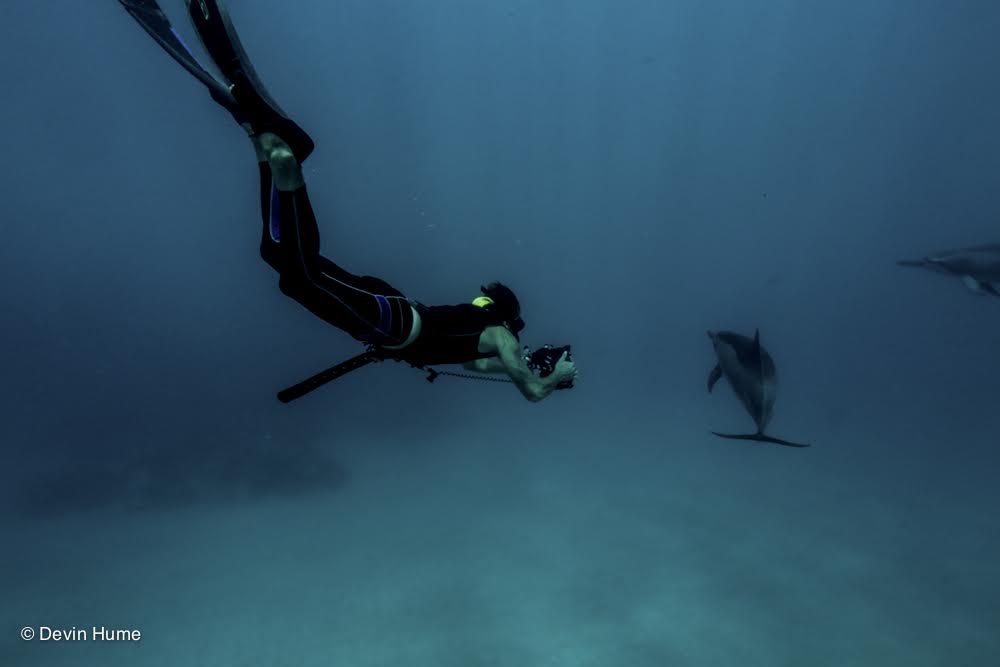 "Freediving is for everybody, and diving free in the ocean is one of the most natural, but still outstanding ways, to feel the freedom and wildness of this aquatic world."