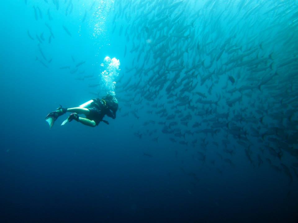 David diving at Sipadan, Malaysia