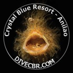 Crystal Blue Resort 4