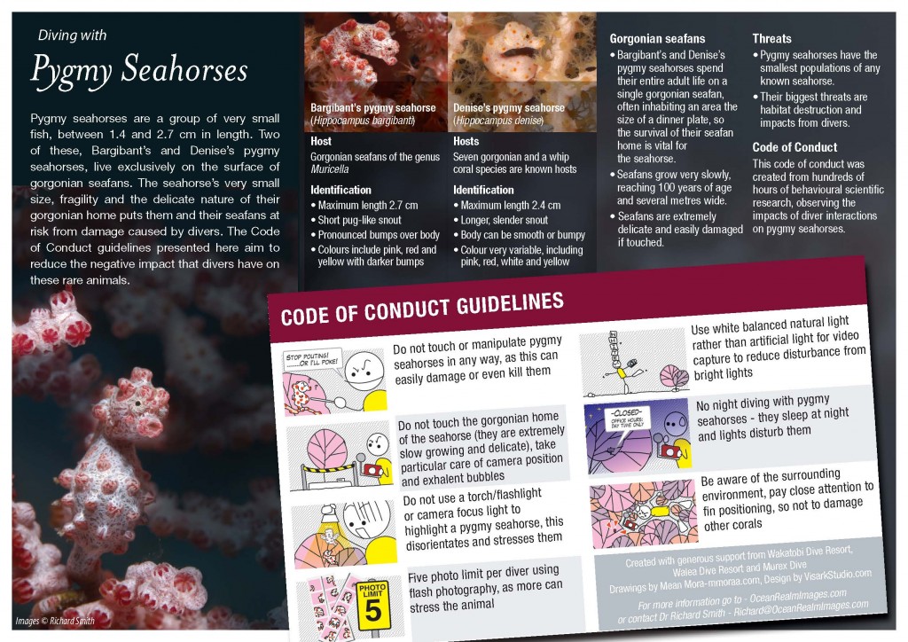 Dr. Richard Smith's Pygmy Seahorse Code of Conduct