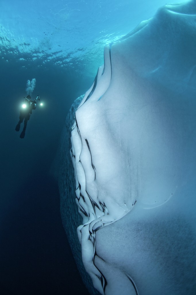 Diver swimming along an iceberg in crystal clear water holding a video camera with lights on, Tasiilaq Fjord, East-Greenland, Atlantic Ocean, Arctic. © Tobias Friedrich